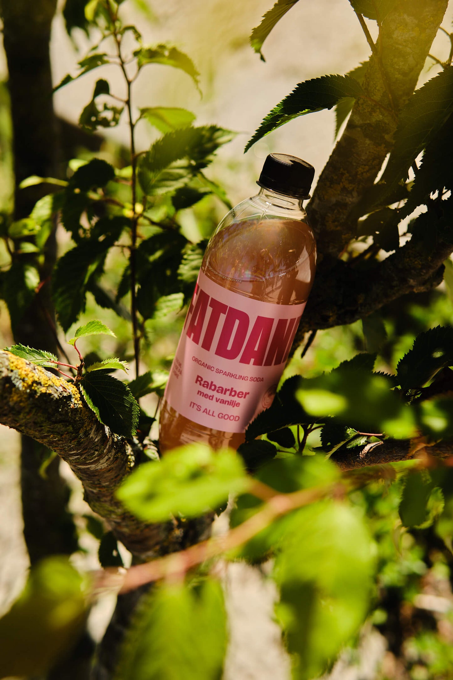 Fatdane Rabarber med Vanilje, 50 cl